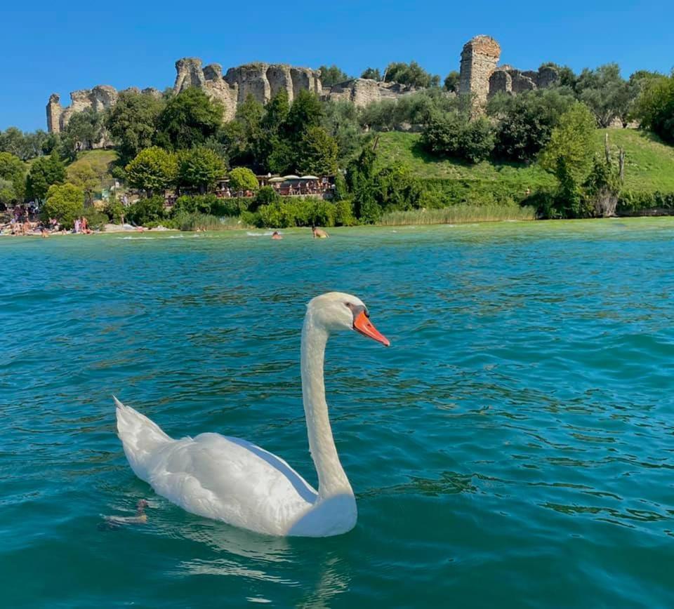 Appartamento Casa Vacanze Spiaggia D'Oro Desenzano del Garda Exterior foto